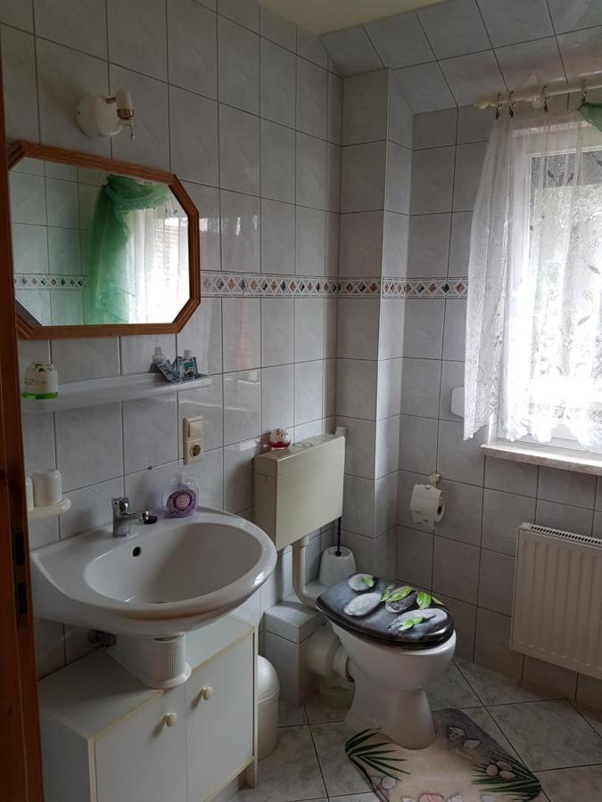 Landpension Zum Schweizerberg Neugrimnitz エクステリア 写真