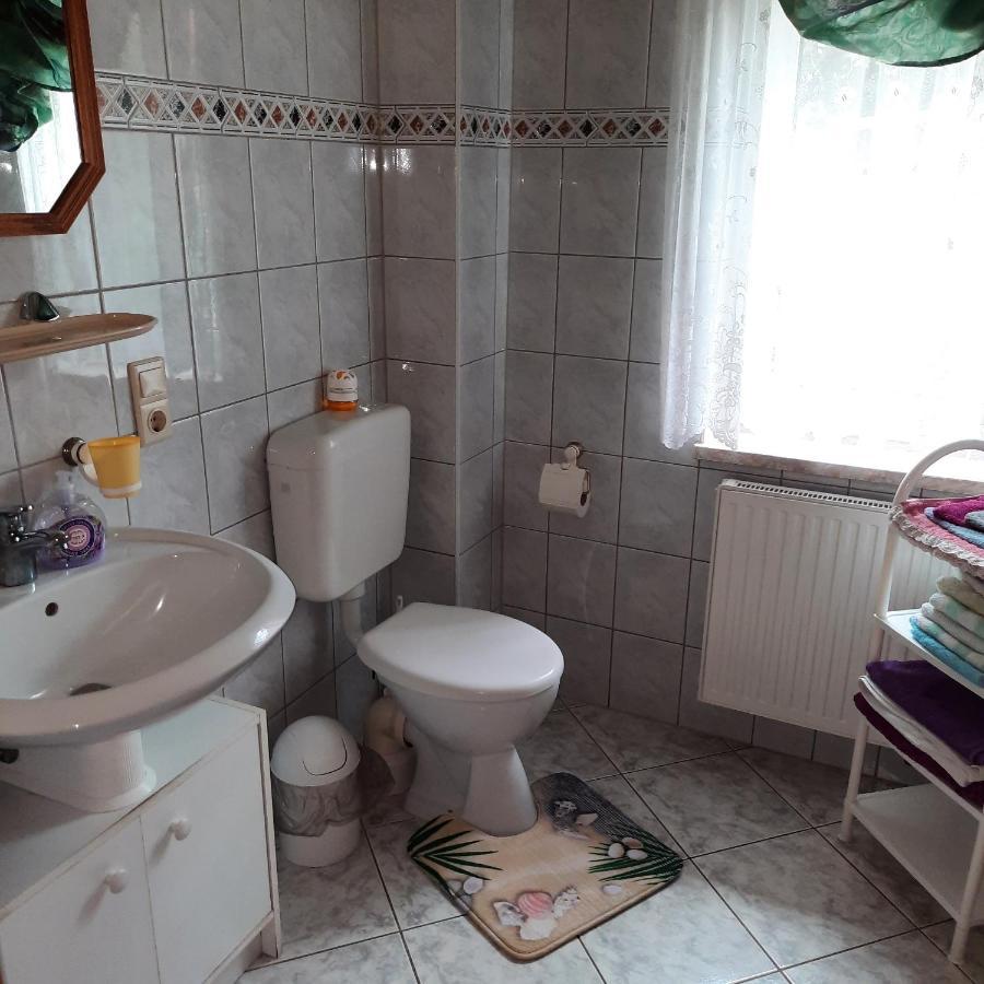 Landpension Zum Schweizerberg Neugrimnitz エクステリア 写真