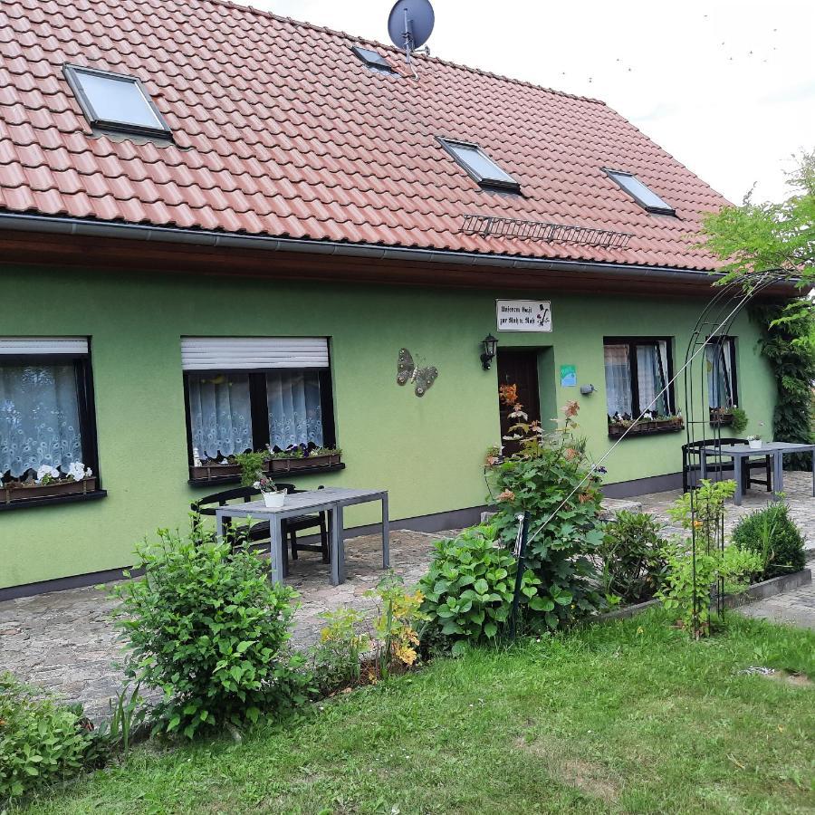 Landpension Zum Schweizerberg Neugrimnitz エクステリア 写真