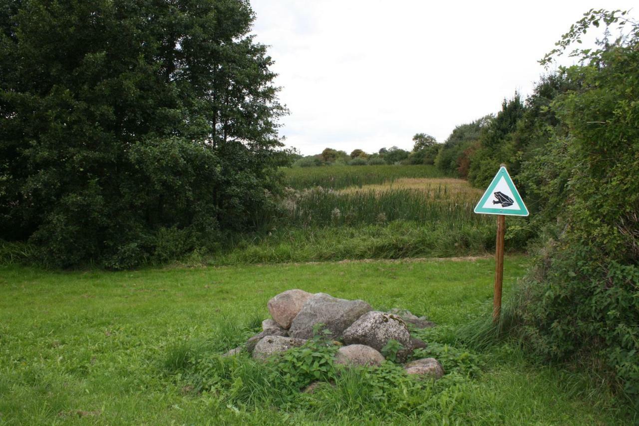Landpension Zum Schweizerberg Neugrimnitz エクステリア 写真