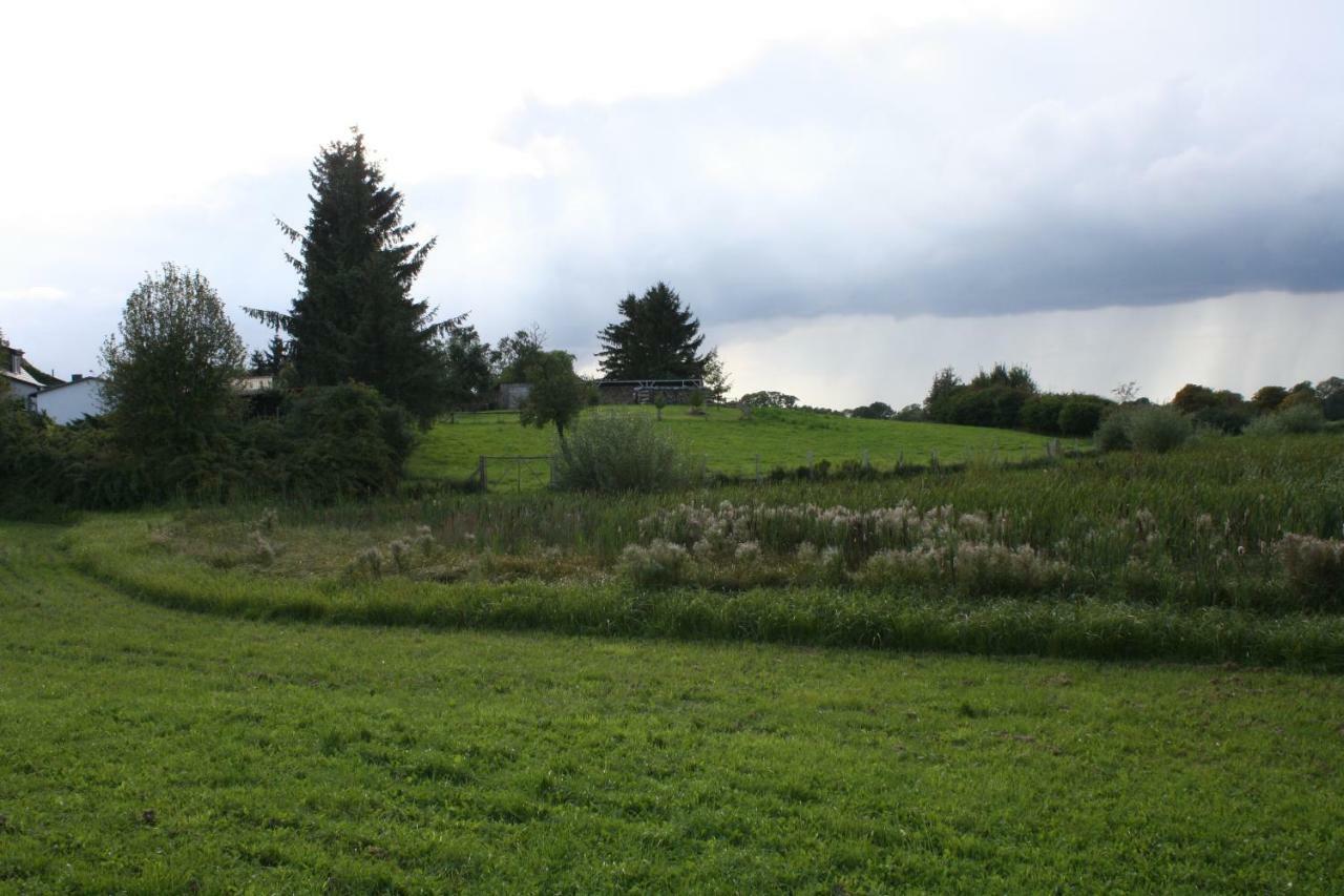 Landpension Zum Schweizerberg Neugrimnitz エクステリア 写真