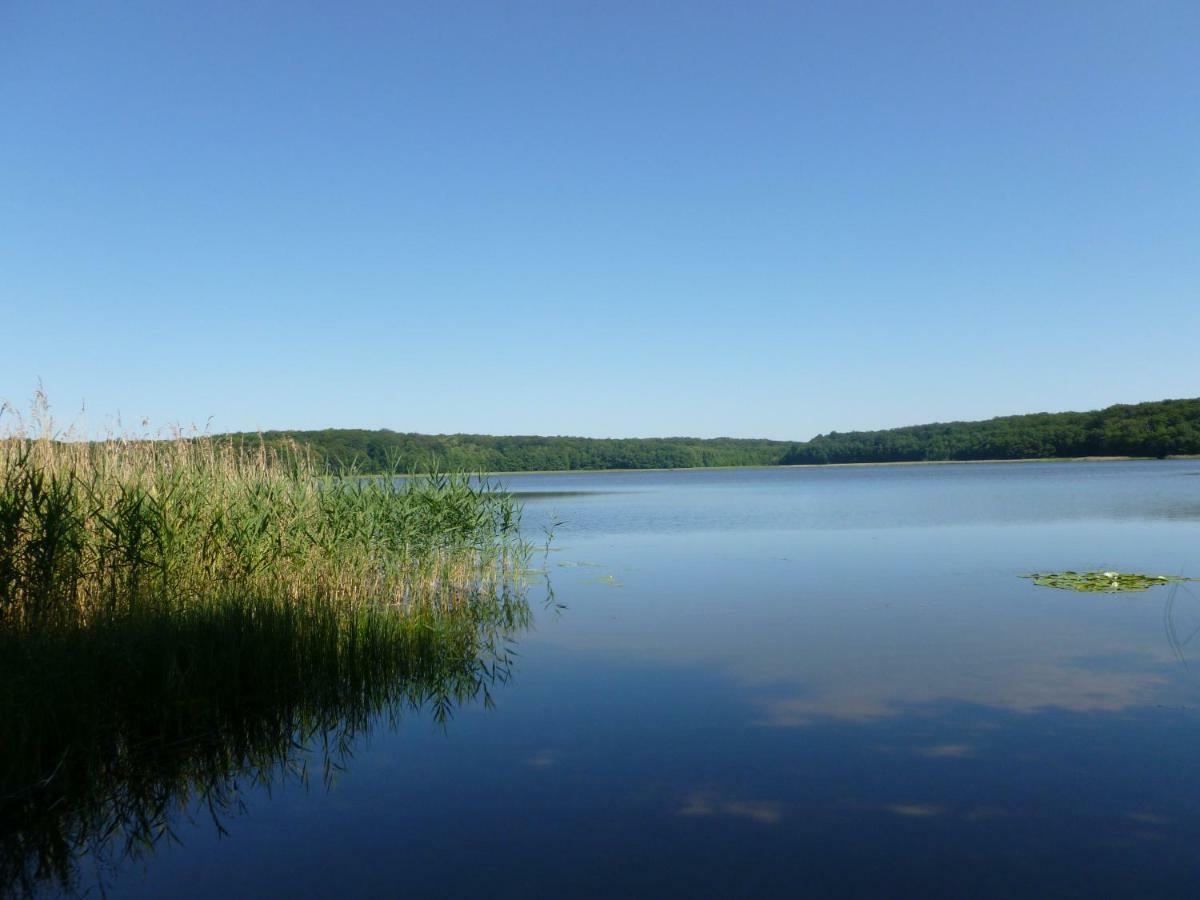 Landpension Zum Schweizerberg Neugrimnitz エクステリア 写真