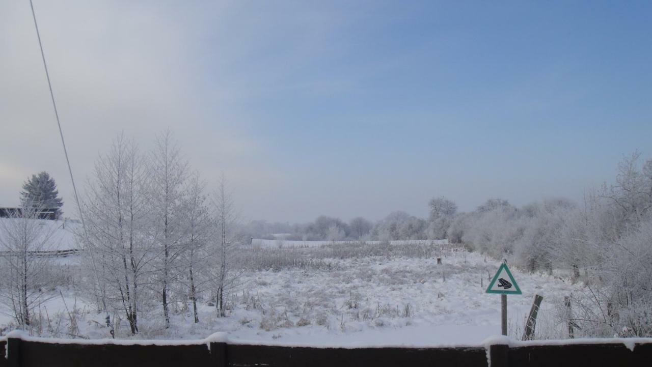 Landpension Zum Schweizerberg Neugrimnitz エクステリア 写真