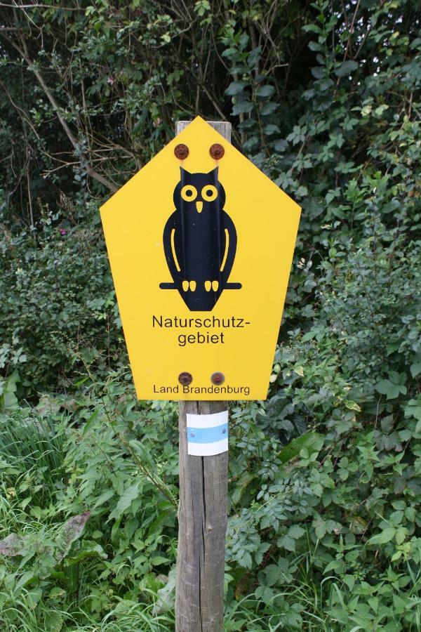 Landpension Zum Schweizerberg Neugrimnitz エクステリア 写真